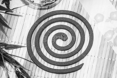 蚊取線香(モノクロ),モノクロ,白黒,しろくろ,モノクローム,単色画,単彩画,単色,虫