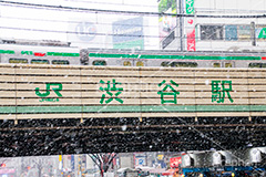 大雪の渋谷,渋谷,駅前,渋谷駅,雪,冬,積もる,降る,寒波,大雪,看板,標示,JR,山手線,高架下,高架,渋谷区,吹雪,東京,japan,shibuya,snow
