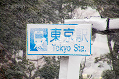 都心大寒波,都心,大寒波,看板,標示,東京駅,雪,冬,積もる,降る,寒波,大雪,千代田区,吹雪,東京,japan,tokyo,snow