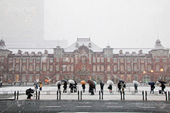 大雪の東京駅,東京駅,駅前,丸の内,雪,冬,積もる,降る,寒波,大雪,内駅舎,赤レンガ,重要文化財,豪壮華麗,洋式建築,中央駅,国指定重要文化財,レトロ,レンガ造り,千代田区,吹雪,東京,旅行,旅,travel,snow,Tokyo Station City,tokyo,japan