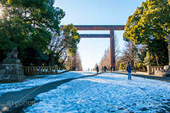 靖国神社の雪化粧,靖国神社,神社,靖国,東京招魂社,参拝,お参り,日本,政治,政府,問題,国際問題,国際,総理大臣,大臣,九段下,九段北,九段坂,坂上,鳥居,大鳥居,千代田区,冬,雪,雪化粧,積もる,東京,winter,snow,tokyo,shrine,japan