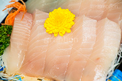 ビントロの刺し身,刺身,さしみ,刺し身,魚介,生もの,日本料理,日本食,和食,たんぽぽ,タンポポ,惣菜,おつまみ,japan,seafood,シーフード