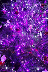 ピンクに輝くクリスマスツリー,クリスマスツリー,イルミネーション,イルミ,illumination,tree,電飾,電球,発光ダイオード,LED,冬,キラキラ,綺麗,きれい,キレイ,煌,輝,クリスマス,CHRISTMAS,Xmas,ornament,present,pink,飾り,デコレーション,イベント,オーナメント,ピンク,スマホ撮影