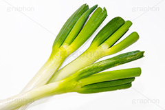 長ネギ3本,ねぎ,ネギ,根木,葱,野菜,長ねぎ,長ネギ,ヒガンバナ科,鍋,かぜ,カゼ,風邪