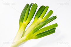 長ネギ3本,ねぎ,ネギ,根木,葱,野菜,長ねぎ,長ネギ,ヒガンバナ科,鍋,かぜ,カゼ,風邪
