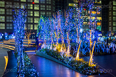 新宿ミナミルミ,新宿南口,南口,新宿駅,JR,イルミネーション,イルミ,illumination,電飾,電球,発光ダイオード,LED,冬,都内,新宿,イベント,shinjuku,event,新宿区,行事,サザンテラス,タカシマヤ,高島屋,タイムズスクエア,新宿マインズタワー,ミライナタワー,新宿バスタ