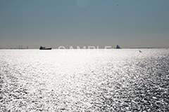 葛西,臨海公園,海,江戸川区,海面,大海原