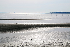 葛西,臨海公園,海,江戸川区,浅瀬,潮干狩