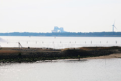 葛西,臨海公園,海,江戸川区,ゲートブリッジ,東京湾,橋,はし,浅瀬,潮干狩