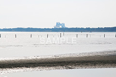 葛西,臨海公園,海,江戸川区,ゲートブリッジ,東京湾,橋,はし,浅瀬,潮干狩