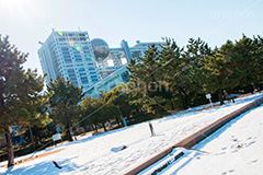 台場の残雪,雪,残雪,寒波,お台場,台場,DAIBA,東京都港区台場,東京臨海副都心,御台場,東京湾,港区,snow,winter,積もる,積雪,フジテレビ本社ビル,フジテレビ,本社ビル,FCGビル,エフシージービル,ビル,ビルディング,テレビ局,TV局,東京,tokyo