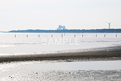 葛西,臨海公園,海,江戸川区,ゲートブリッジ,東京湾,橋,はし,浅瀬,潮干狩