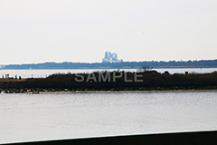 葛西,臨海公園,海,江戸川区,ゲートブリッジ,東京湾,橋,はし