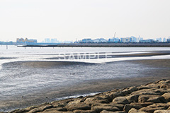 葛西,臨海公園,海,江戸川区,浅瀬,潮干