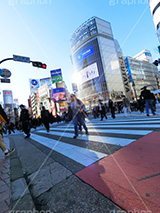 スクランブル交差点,渋谷,しぶや,観光,交差点,渋谷駅,駅前,スクランブル,外国人,海外,道玄坂,横断歩道,信号,雑踏,都会の雑踏,人混み,人物,混雑,青空,shibuya,japan