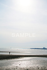 葛西,臨海公園,海,江戸川区,浅瀬,潮干