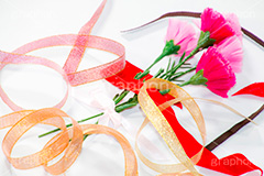 リボンは何色？,母の日,カーネーション,ナデシコ科,ナデシコ属,花,お花,春,フラワー,spring,flower,carnation,present,mother's day,decoration,ribon,花束,贈り物,プレゼント,かすみ草,ありがとう,感謝,お礼,母,お母さん,造花,リボン,デコレーション