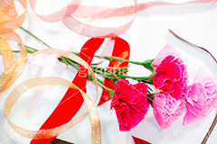 リボンは何色？,母の日,カーネーション,ナデシコ科,ナデシコ属,花,お花,春,フラワー,spring,flower,carnation,present,mother's day,decoration,ribon,花束,贈り物,プレゼント,かすみ草,ありがとう,感謝,お礼,母,お母さん,造花,リボン,デコレーション