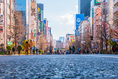 秋葉原の歩行者天国,歩行者天国,秋葉原,あきば,秋葉,アキバ,駅前,電気街,秋葉原駅,ゲーム,アニメ,おたく,オタク,文化,広告,看板,カルチャー,アスファルト,akiba,japan,culture