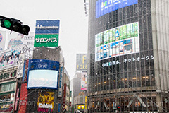 大雪の渋谷,渋谷,駅前,渋谷駅,雪,冬,降る,寒波,大雪,渋谷区,吹雪,ハチ公,スクランブル交差点,交差点,信号,信号機,東京,tokyo,shibuya,snow,winter