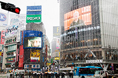 大雪の渋谷,渋谷,駅前,渋谷駅,雪,冬,降る,寒波,大雪,渋谷区,吹雪,ハチ公,スクランブル交差点,交差点,信号,信号機,東京,tokyo,shibuya,snow,winter