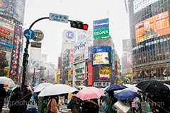 大雪の渋谷,渋谷,駅前,渋谷駅,雪,冬,降る,寒波,大雪,渋谷区,吹雪,ハチ公,スクランブル交差点,交差点,信号,信号機,傘,東京,tokyo,shibuya,snow,winter