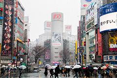 大雪の渋谷,渋谷,駅前,渋谷駅,雪,冬,降る,寒波,大雪,渋谷区,吹雪,ハチ公,スクランブル交差点,交差点,傘,東京,109,tokyo,shibuya,snow,winter