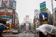 大雪の渋谷,渋谷,駅前,渋谷駅,雪,冬,降る,寒波,大雪,渋谷区,吹雪,ハチ公,スクランブル交差点,交差点,傘,東京,109,tokyo,shibuya,snow,winter