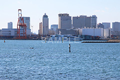 お台場,台場,海浜,海,海浜