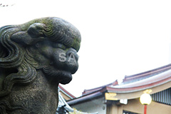 浅草,あさくさ,台東区,浅草神社,神社,参拝,お参り,浅草 名所,浅草 観光,狛犬,獅子,犬,石像,像,守る,苔,asakusa,japan,shrine