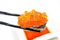 イクラの寿司を醤油につける,寿司,すし,寿し,スシ,鮨,鮓,早鮨,米飯,酢飯,ネタ,しゃり,シャリ,握り,にぎり,生鮮,魚介,海鮮,日本食,日本料理,和食,シーフード,sushi,japanese,seafood,japan,イクラ,いくら,魚卵,はし,箸,つまむ,しょうゆ,醤油,軍艦