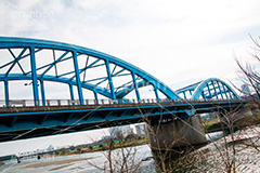 丸子橋,橋,八幡町,アーチ,水色,下流,橋梁,多摩川,川,川原,河川敷,一級河川,玉川,河川,タマちゃん