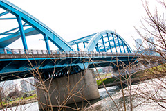 丸子橋,橋,八幡町,アーチ,水色,下流,橋梁,多摩川,川,川原,河川敷,一級河川,玉川,河川,タマちゃん