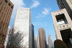 新宿ビル群,新宿,新宿区,ビル,都会,ビル群,高層ビル,ビジネス,繫華街,夜の街,夜の町,shinjuku,building,office