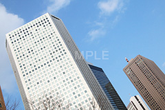 新宿ビル群,新宿,新宿区,ビル,都会,ビル群,高層ビル,ビジネス,shinjuku,building,office