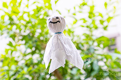 てるてる坊主,天気,梅雨,つゆ,イベント,行事,6月,願い,手作り,手づくり,顔,シュール,吊る,雨,晴れ,ティッシュ,こども,子供,キッズ,kids