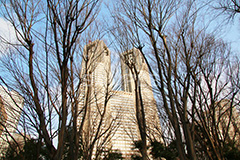 新宿中央公園,中央公園,東京都庁,都庁,とちょう,都知事,執行機関,行政,高層ビル,新宿,新宿区,第一本庁舎,庁舎,shinjuku
