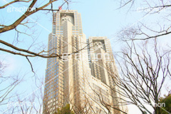 新宿中央公園,中央公園,東京都庁,都庁,とちょう,都知事,執行機関,行政,高層ビル,新宿,新宿区,第一本庁舎,庁舎,shinjuku