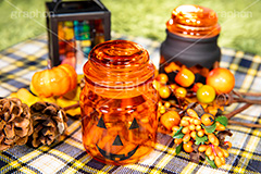 ハロウィン・ピクニック,ピクニック,シート,ハロウィンオーナメント,ジャックオーランタン,ハロウィン,はろうぃん,ハロウィーン,かぼちゃ,カボチャ,南瓜,ランタン,オーナメント,飾り,イベント,秋,ornament,Halloween,pumpkin,party,lantern,ランタン,ランプ,ビン,瓶,小物,雑貨,パーティー,パンプキン,行事,フルサイズ撮影
