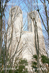新宿中央公園,中央公園,東京都庁,都庁,とちょう,都知事,執行機関,行政,高層ビル,新宿,新宿区,第一本庁舎,庁舎,shinjuku