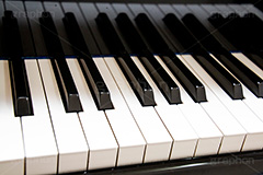 鍵盤,ピアノ,ぴあの,楽器,音楽,演奏,レッスン,コンサート,piano,曲,弾,白黒,弾いてみた,演奏してみた,ミュージック,連番,伴奏,音色,作曲,メロディ,melody,music,concert