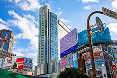 渋谷スクランブル交差点,渋谷,しぶや,ハチ公,観光,交差点,渋谷駅,駅前,スクランブル,外国人,海外,道玄坂,shibuya,japan,hotel,office,横断歩道,信号,セルリアン,タワー,セルリアンタワー,ホテル,オフィスビル,高層ビル,フルサイズ撮影