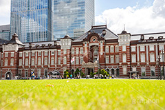 東京,東京駅,内駅舎,赤レンガ,丸の内,重要文化財,豪壮華麗,洋式建築,中央駅,国指定重要文化財,Tokyo Station City,レトロ,レンガ造り,復元,tokyo,芝生,フルサイズ撮影,旅行,旅,travel