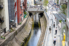 渋谷川,川,渋谷ストリーム,新名所,都市再生,渋谷,しぶや,シブヤ,オフィスビル,商業施設,高層ビル,建設,開発,工事,都市開発,shibuya,building,2018,フルサイズ撮影