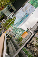 渋谷ストリーム,新名所,都市再生,渋谷,しぶや,シブヤ,オフィスビル,商業施設,高層ビル,shibuya,building,hotel,live,ライブ,ホテル,建設,開発,工事,都市開発,2018,東棟,展望,フルサイズ撮影,渋谷川,渋谷スクランブルスクエア,スクランブルスクエア,新名所,工事