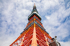 東京タワー真下,真下,見上げ,見上げる,鉄骨,鉄網,金網,真っ赤,とうきょうタワー,Tokyo Tower,港区,下から,迫力,圧巻,工事中,フルサイズ撮影,東京タワー