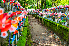 千躰子育地蔵尊,増上寺,芝公園,浄土宗,地蔵,お地蔵さん,子育て,安産,子供,こども,祈願,頭巾,赤い頭巾,風車,並ぶ,多い,大量,寺院,寺,参拝,重要文化財,文化財,港区,コケ,苔,japan,temple,フルサイズ撮影