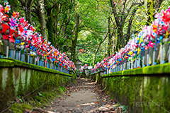 千躰子育地蔵尊,増上寺,芝公園,浄土宗,地蔵,お地蔵さん,子育て,安産,子供,こども,祈願,頭巾,赤い頭巾,風車,並ぶ,多い,大量,寺院,寺,参拝,重要文化財,文化財,港区,コケ,苔,japan,temple,フルサイズ撮影