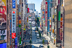 歌舞伎町,西新宿,繁華街,ゴジラロード,映画,映画館,西武新宿駅前,西武新宿,新宿,新宿区,商店街,ホテル,繫華街,夜の街,夜の町,shinjuku,hotels,japan,フルサイズ撮影