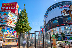 西武新宿駅前,西武新宿,駅,駅前,高架,高架下,ガード下,線路,鉄道,交差点,駅ビル,新宿,新宿区,JR,SS01,歌舞伎町,shinjuku,西新宿,繫華街,夜の街,夜の町,フルサイズ撮影